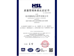 質(zhì)量管理體系認(rèn)證
